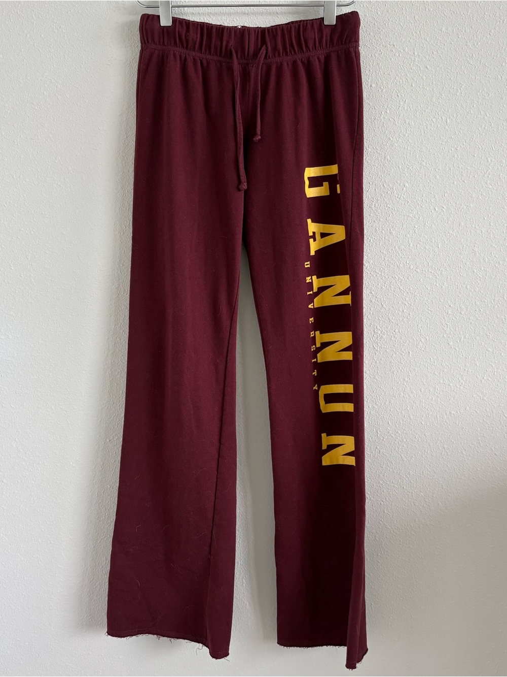 Champion Gannon University pants